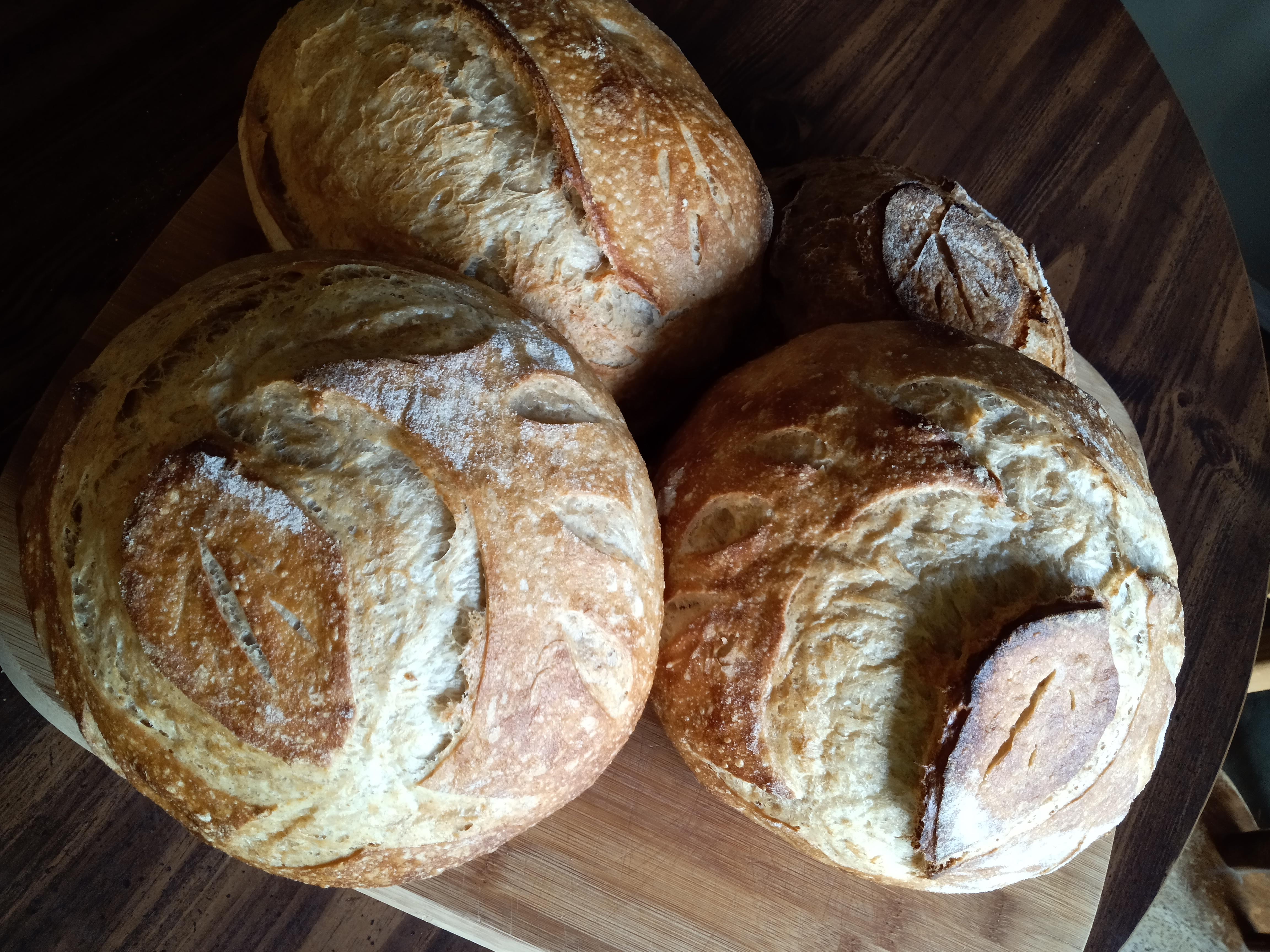 Know Your Dough – Understanding Sourdough Bread Variables