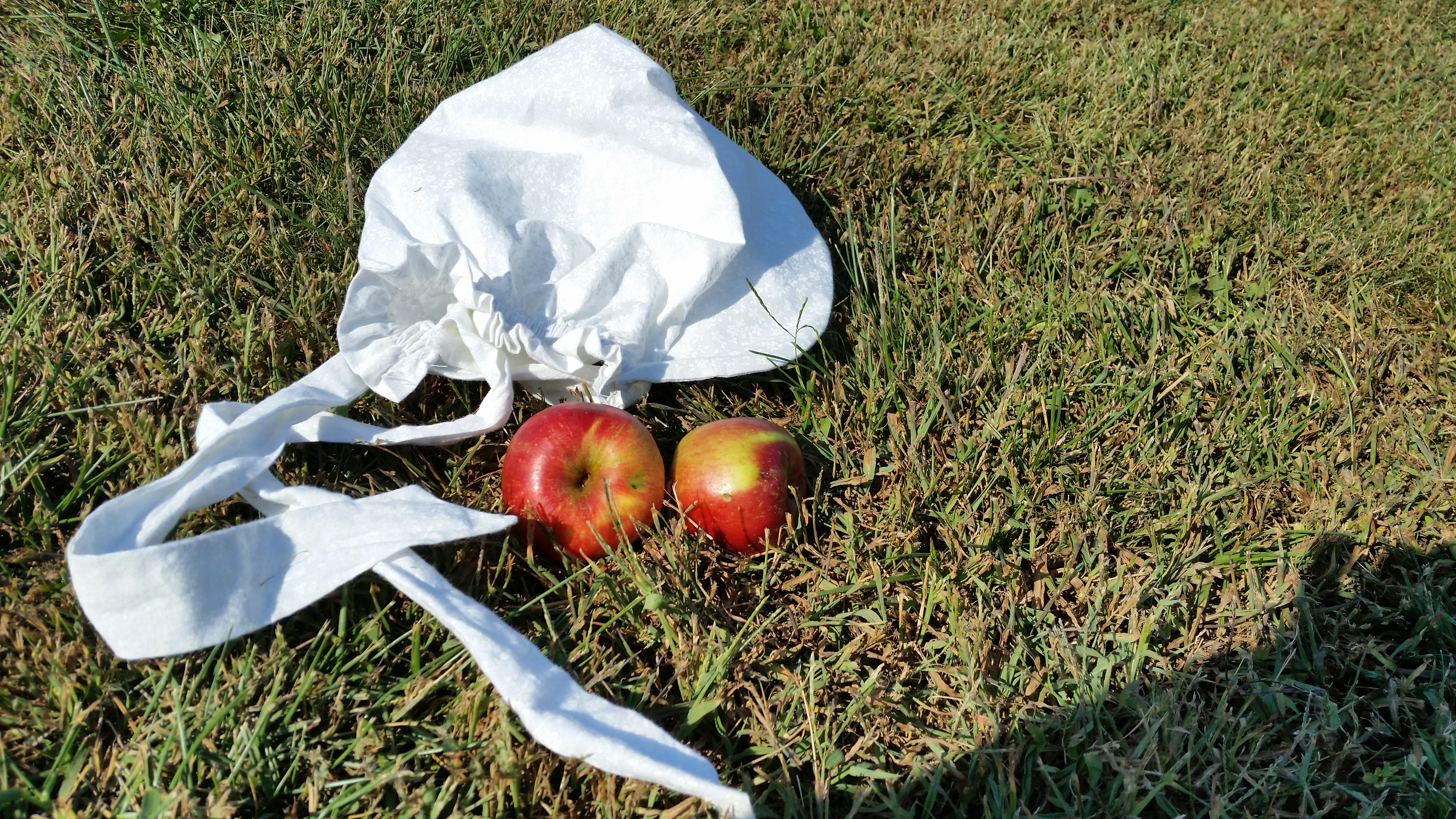 Beginning our story, Beginning simply, bonnet, apples