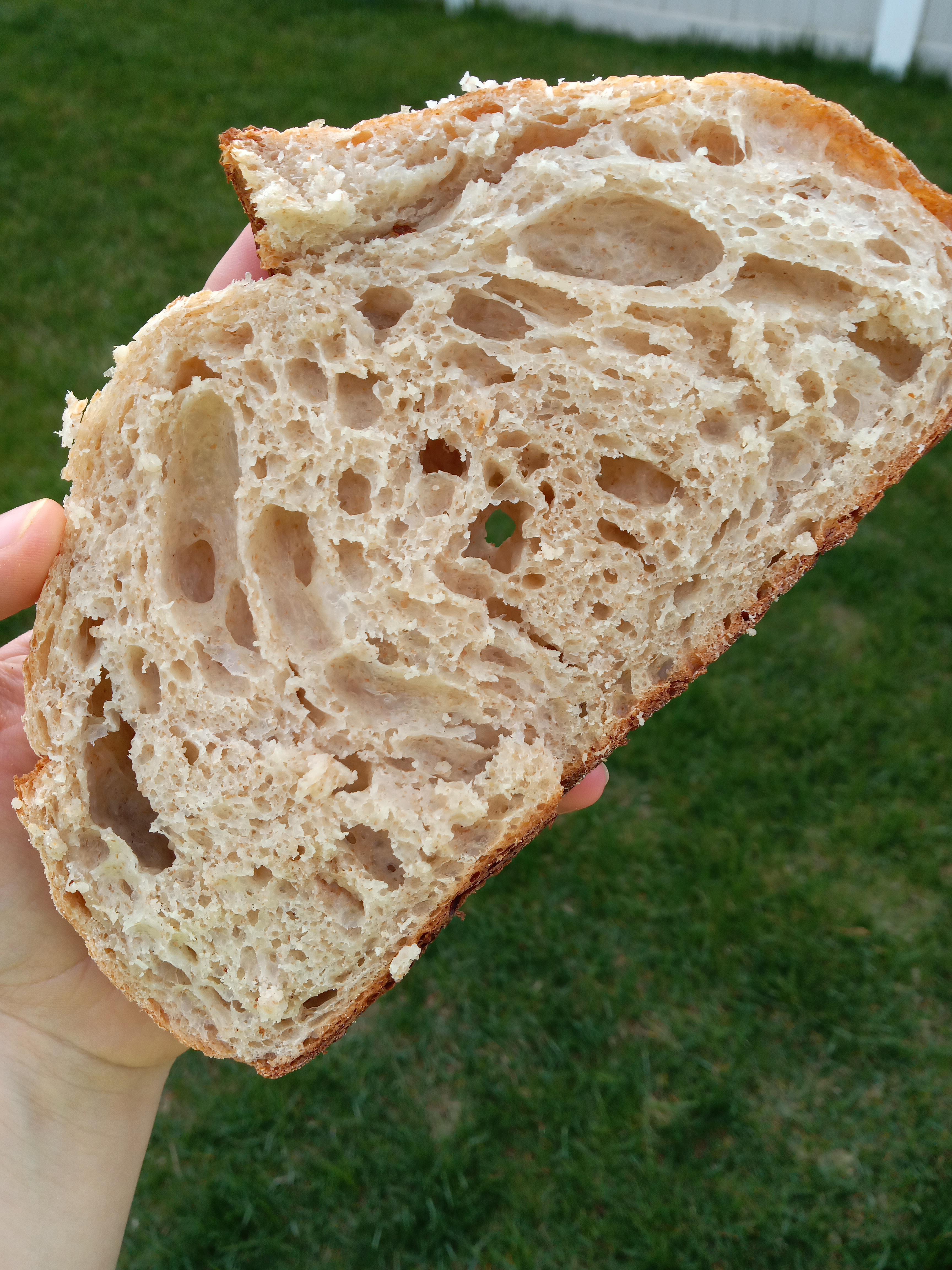 Sourdough Troubleshooting Guide + Free Resources!
